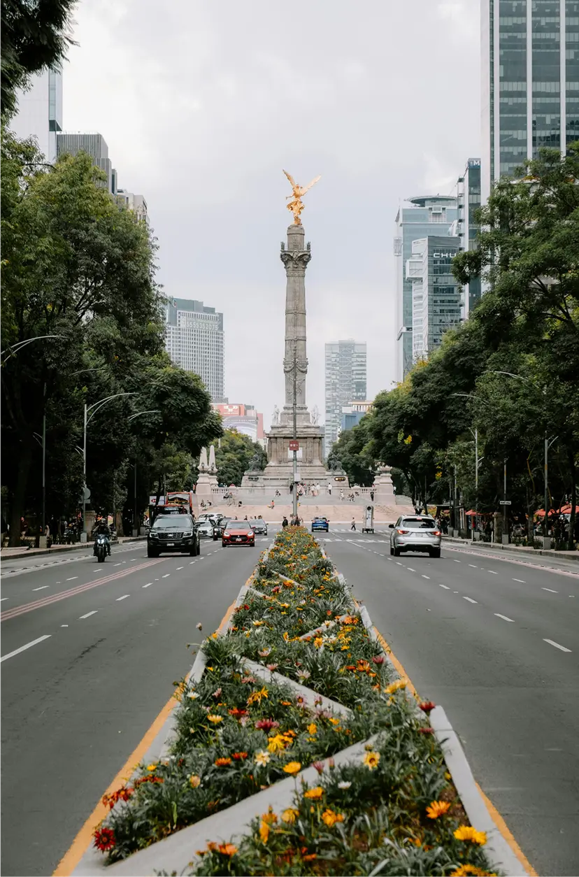 Mobile app interface